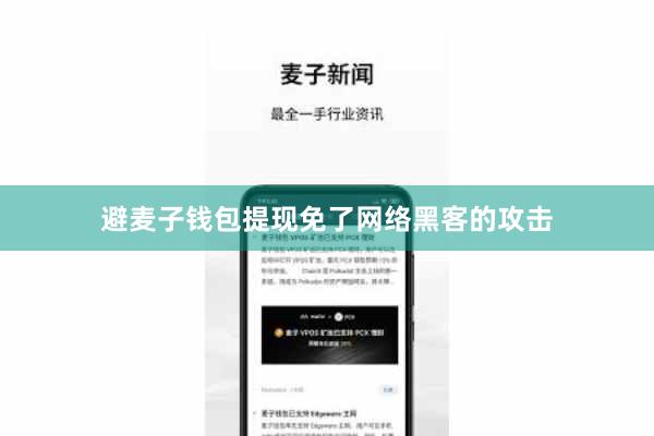避麦子钱包提现免了网络黑客的攻击
