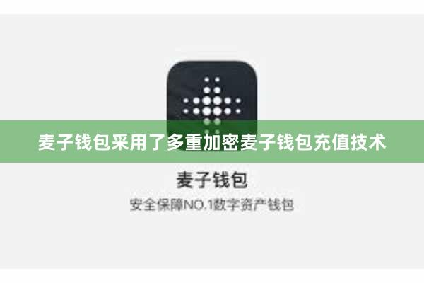 麦子钱包采用了多重加密麦子钱包充值技术