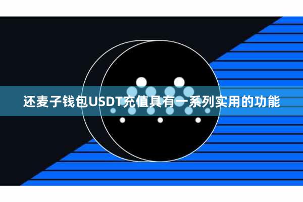 还麦子钱包USDT充值具有一系列实用的功能