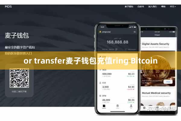 or transfer麦子钱包充值ring Bitcoin