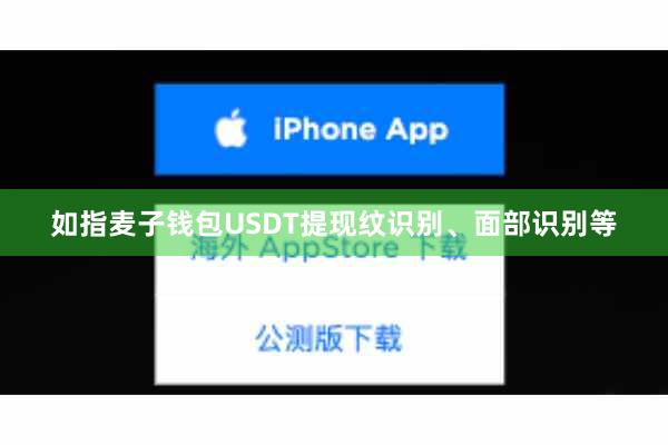 如指麦子钱包USDT提现纹识别、面部识别等