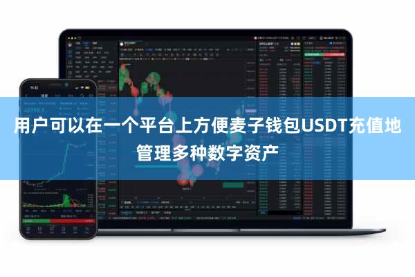 用户可以在一个平台上方便麦子钱包USDT充值地管理多种数字资产