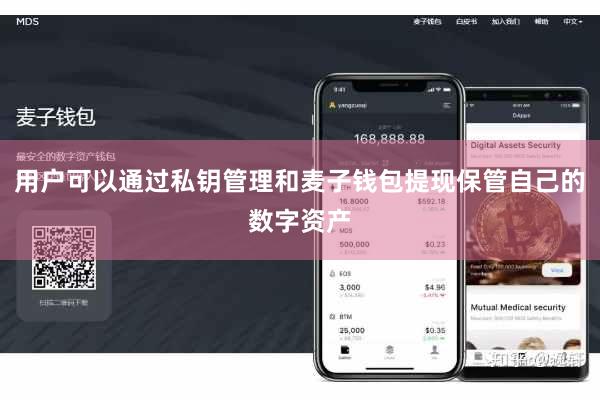 用户可以通过私钥管理和麦子钱包提现保管自己的数字资产